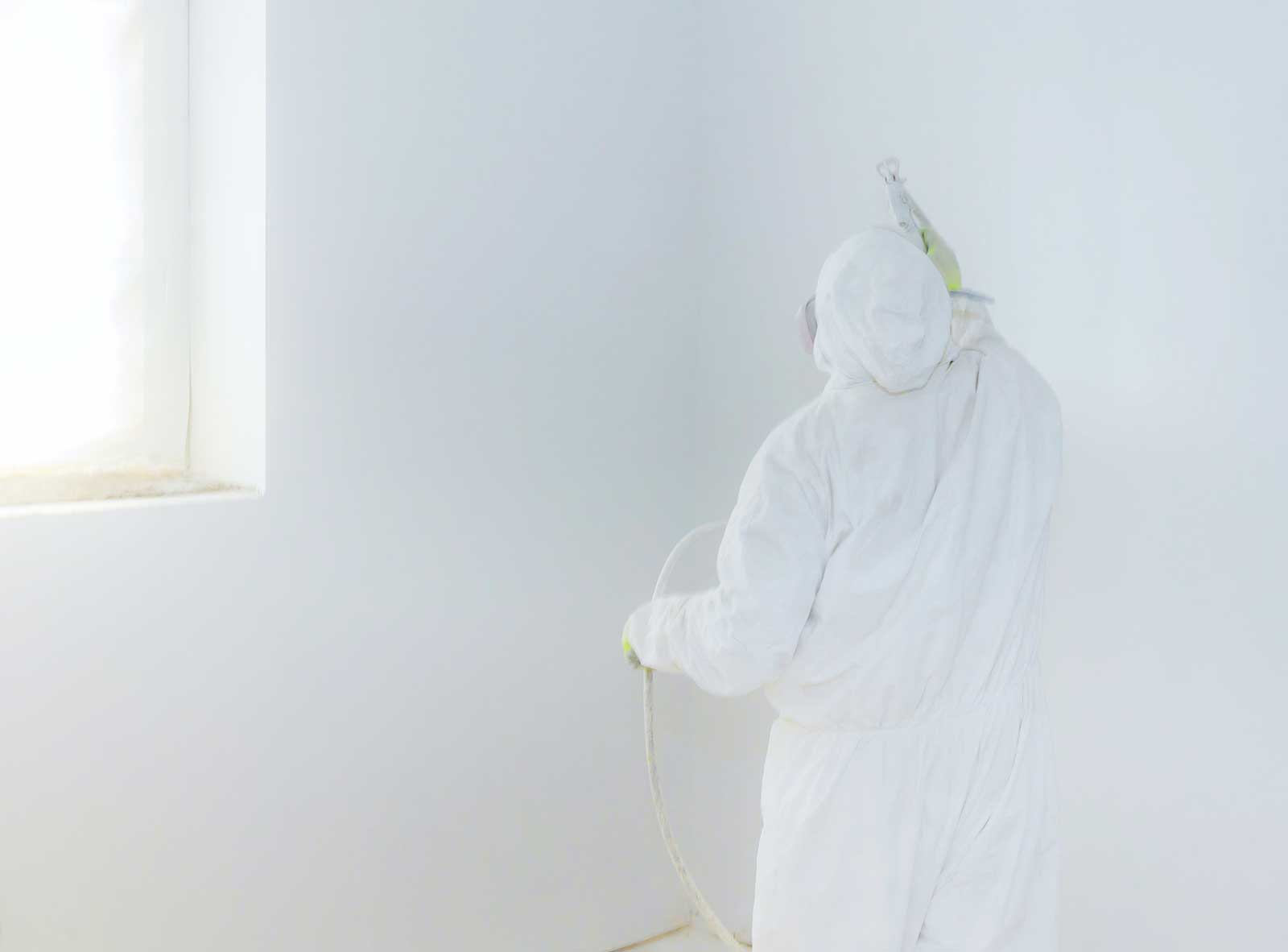 Choosing a Paint Primer